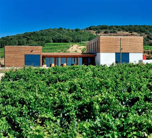 allegria-vin-languedoc-pezenas