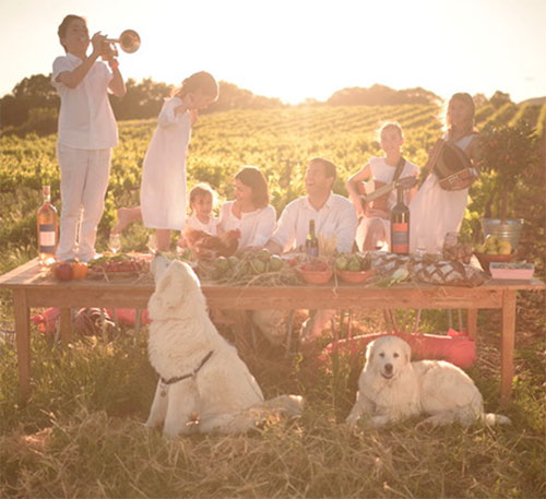 domaine-allegria-daboville-pezenas