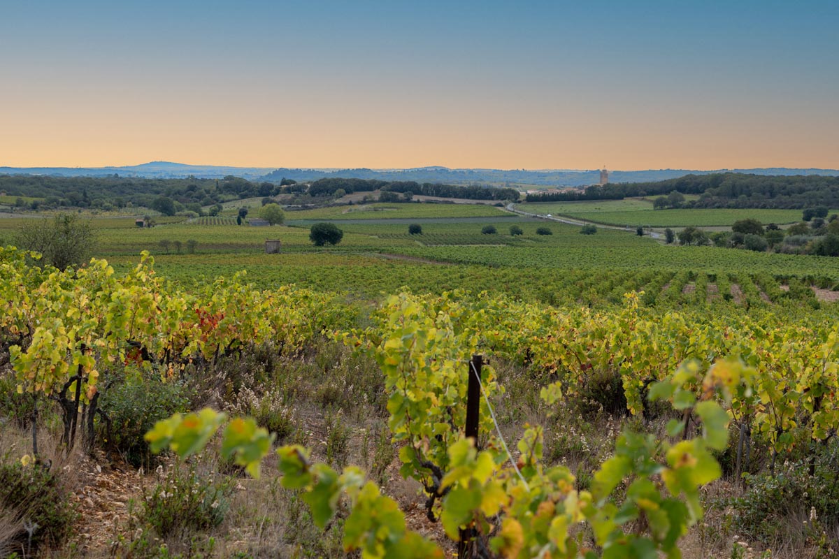 terroir basalte pézenas vin du languedoc