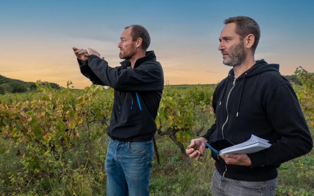 toutlevin.com yoann palej au coeur du terroir pézenas